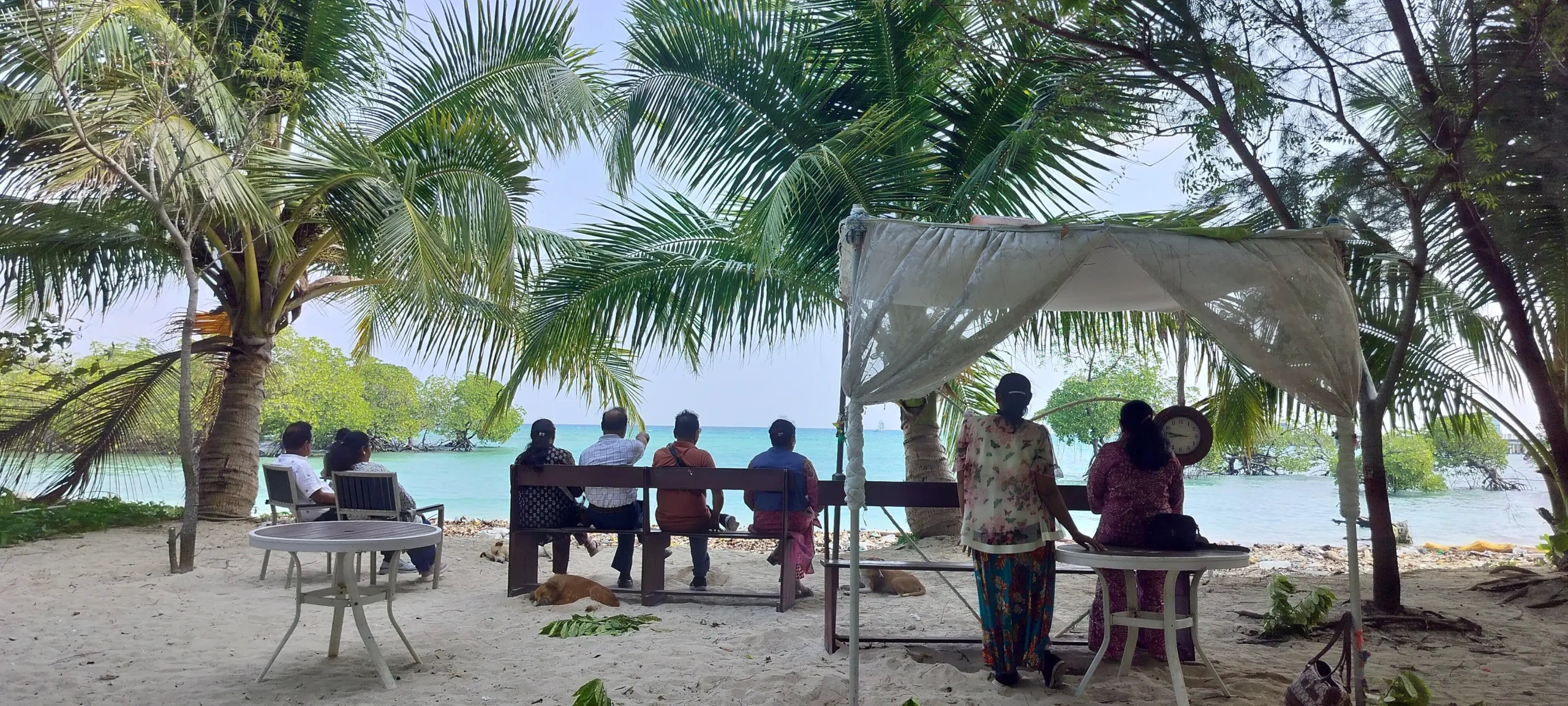 PK Tours travelers sitting on a bench facing the turquoise sea under palm trees on an Andaman beach